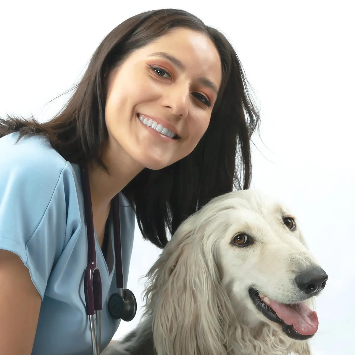 Consulta veterinaria — Vetmedicyn en Instagram