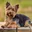 Foto de perfil de Karen Carbajal, cliente de Vetmedicyn