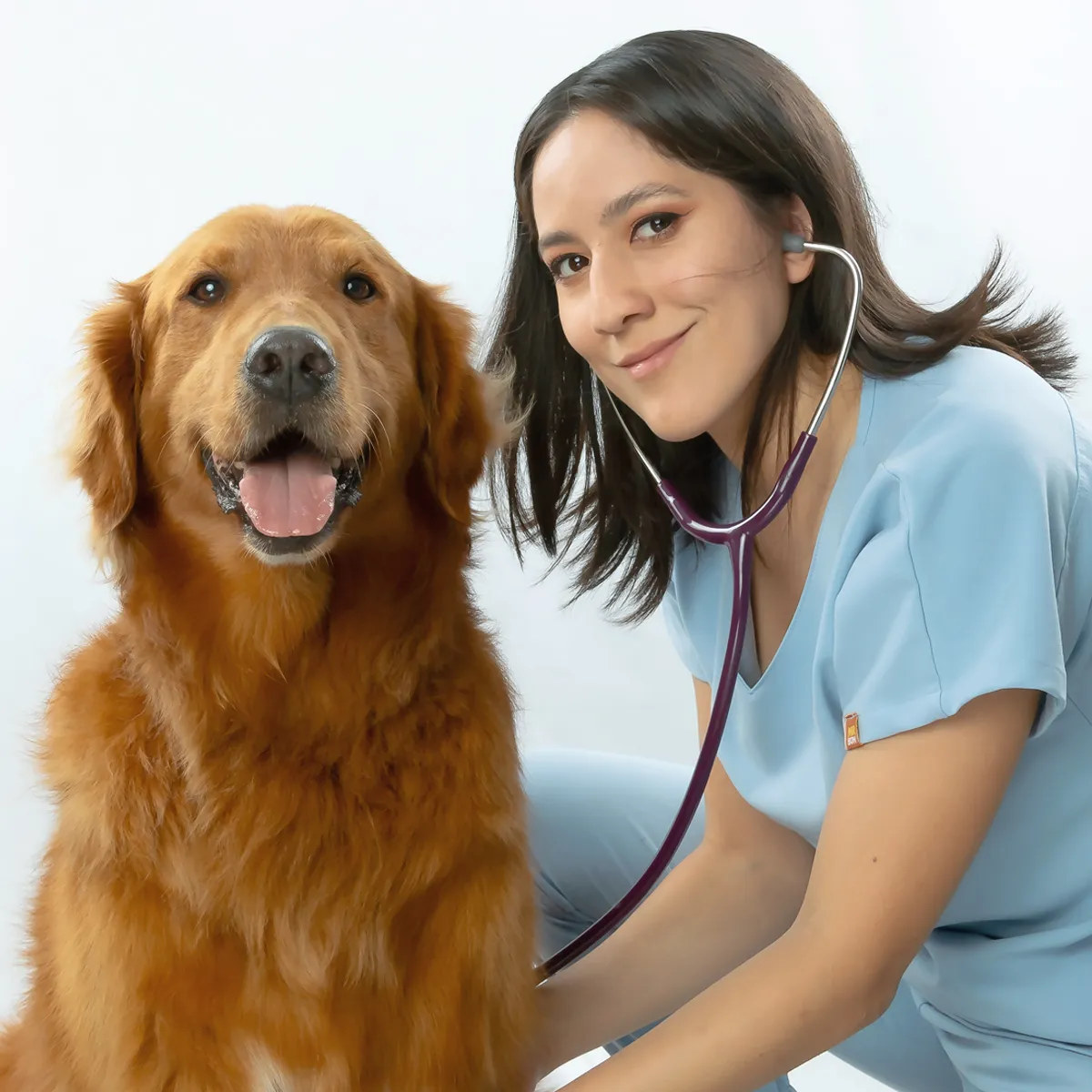 Dra. Cynthia atendiendo a un perro con estetoscopio