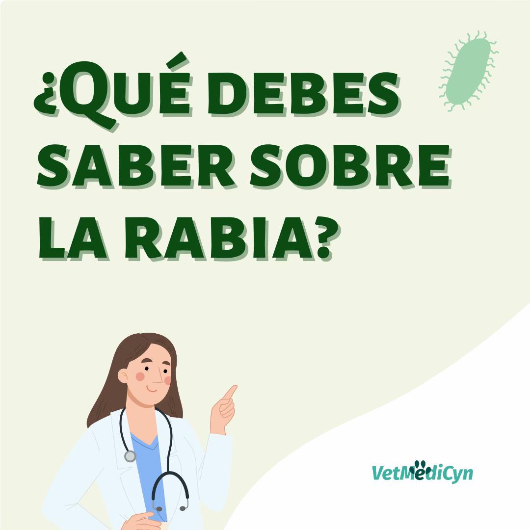 Vídeo de TikTok de Vetmedicyn: En el video pasado te conté sobre los casos de rabia en México… y si